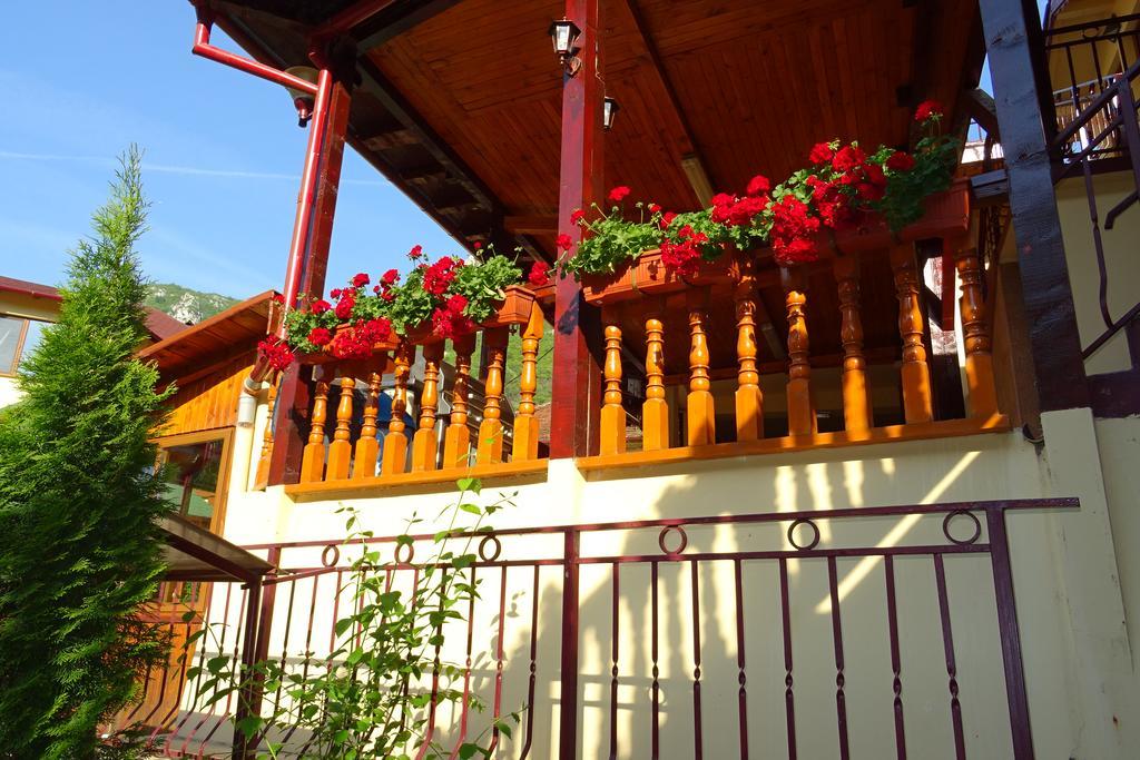 Pension Cuibul Viselor Băile Herculane Dış mekan fotoğraf
