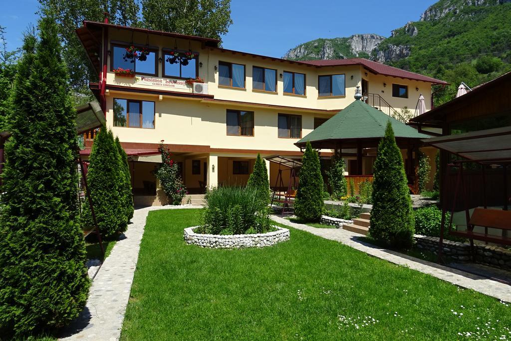 Pension Cuibul Viselor Băile Herculane Dış mekan fotoğraf