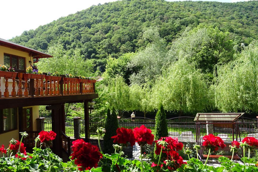 Pension Cuibul Viselor Băile Herculane Dış mekan fotoğraf
